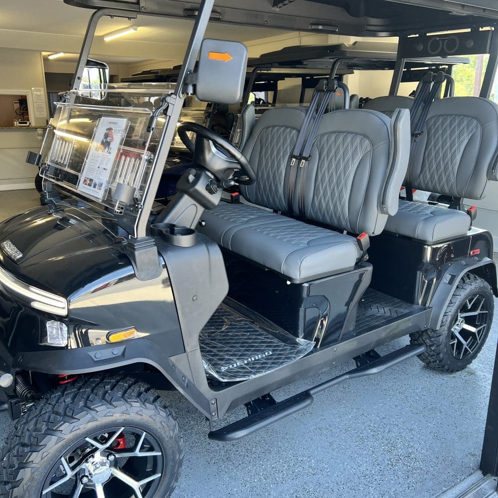 2025 Denago EV Rover XL - Black