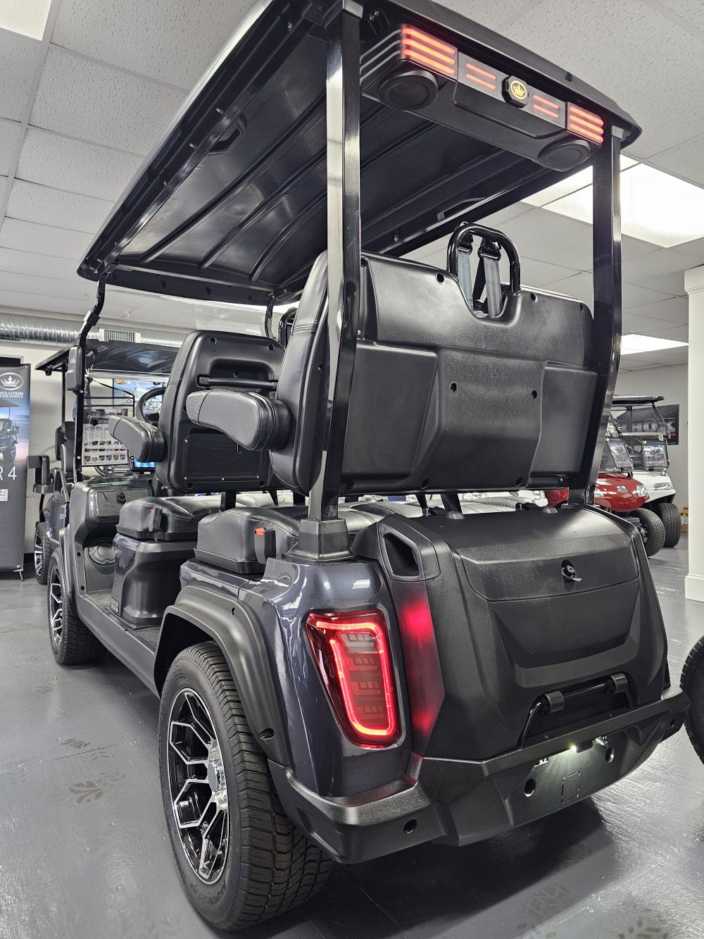 2025 Evolution D5 Ranger 4 Plus - Artic Gray - Image 4