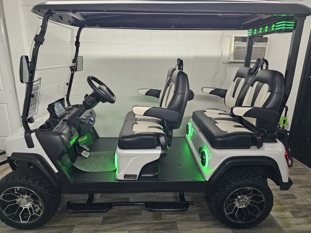 2025 Evolution D5 Maverick 4 Plus - Pearl White - Image 3