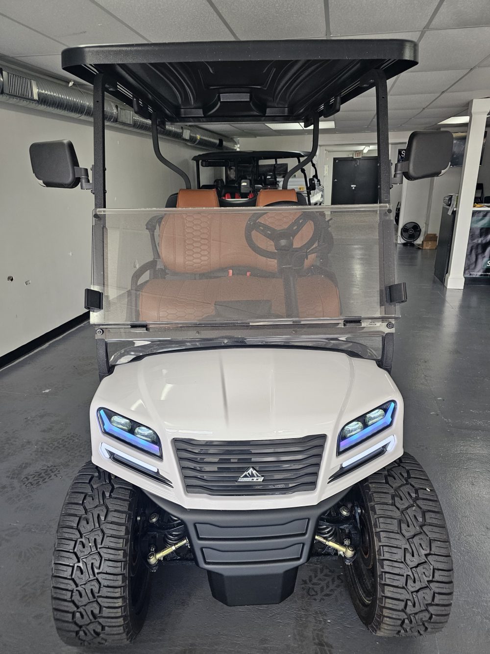 2025 Sierra LSV AX2 - White - Image 3
