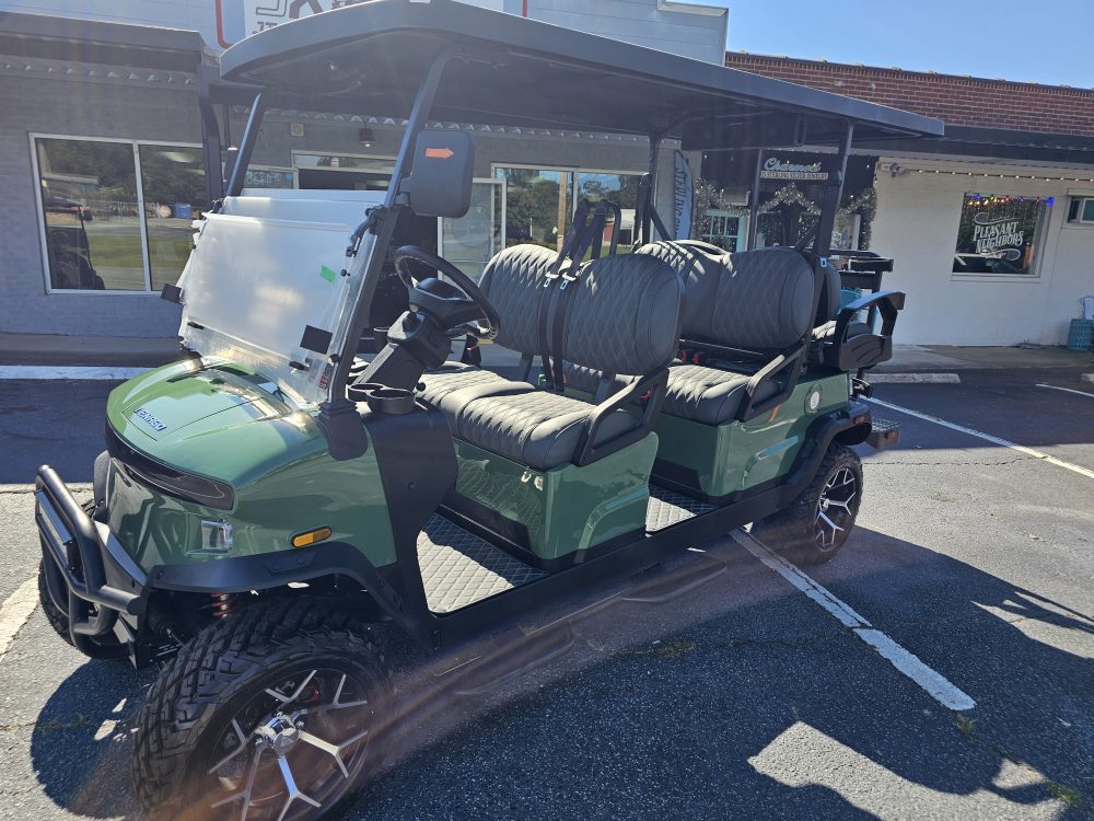 2025 Denago EV Rover XL 6 - Verdant Green - Image 3