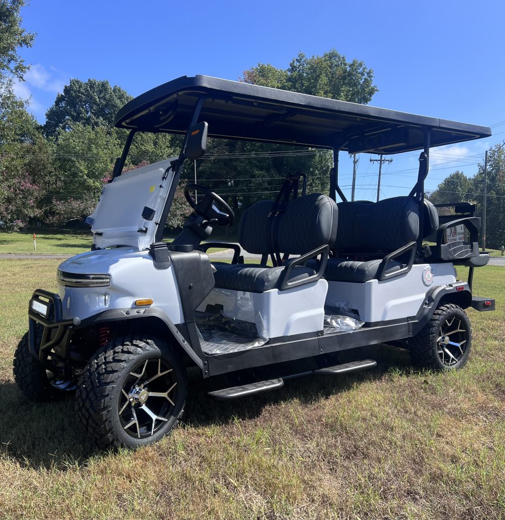 2025 Denago EV Rover XL-6 - White