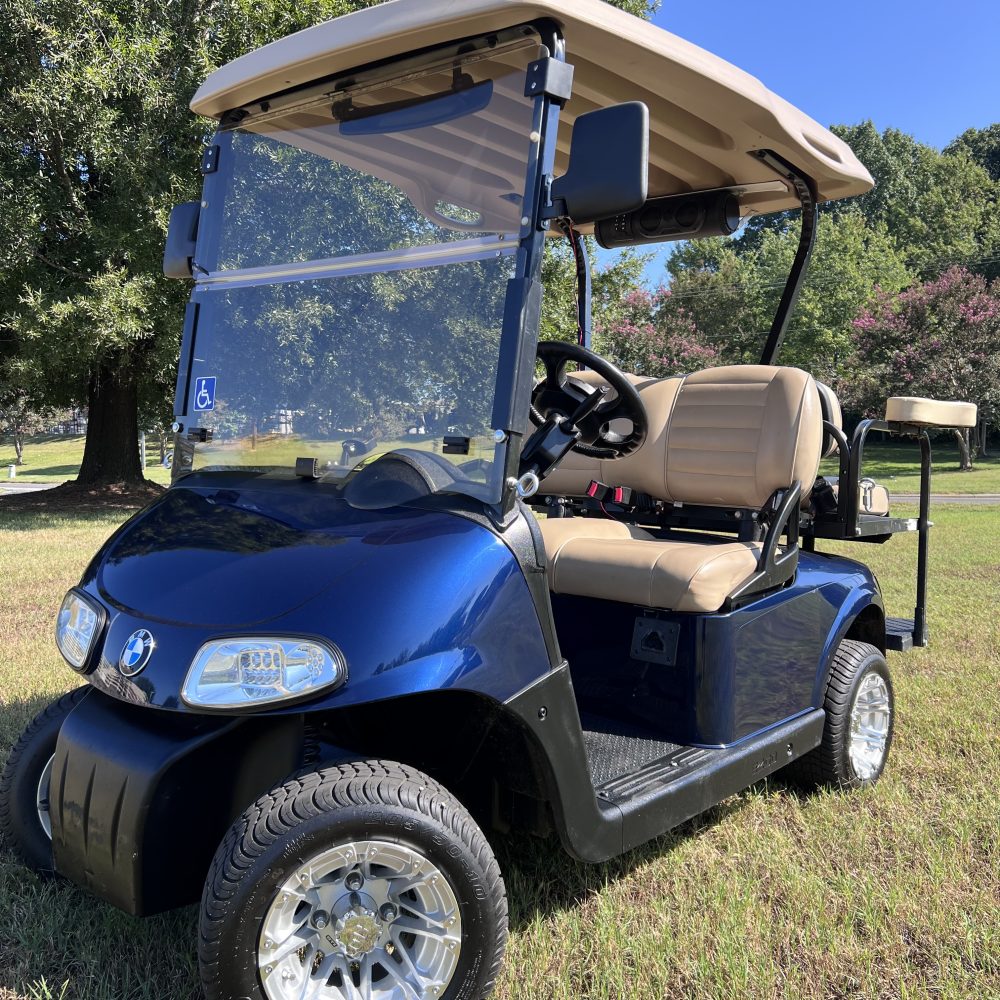 2008 EZGO RXV - Blue