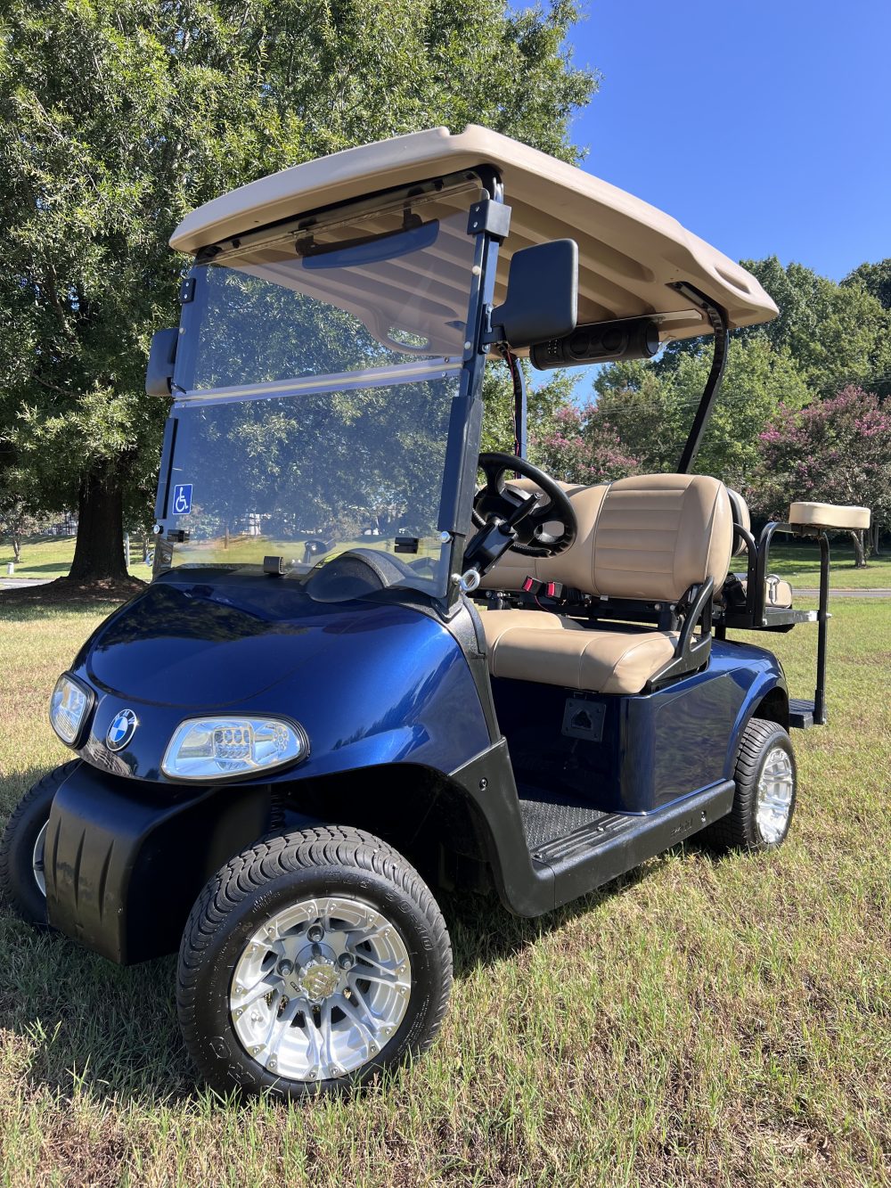 2008 EZGO RXV - Blue