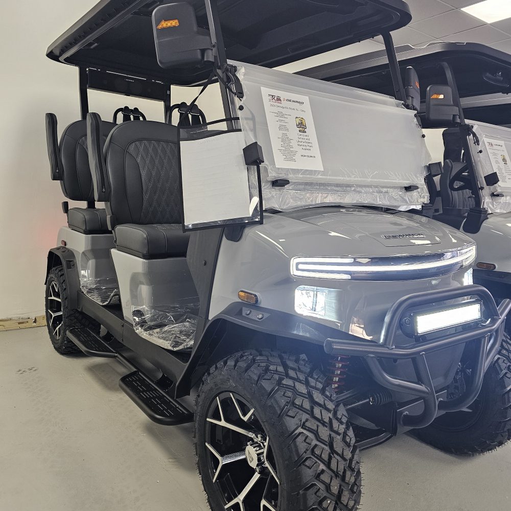 2026 Denago EV Rover XL - Gray