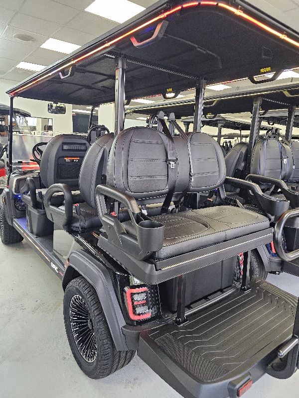 2026 Epic Carts E60FX - Metallic Black - Image 3