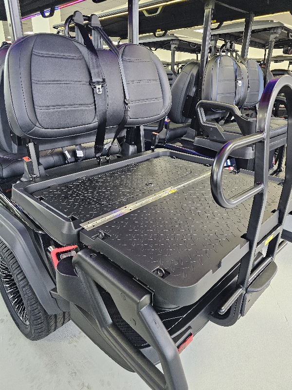 2026 Epic Carts E60FX - Metallic Black - Image 4