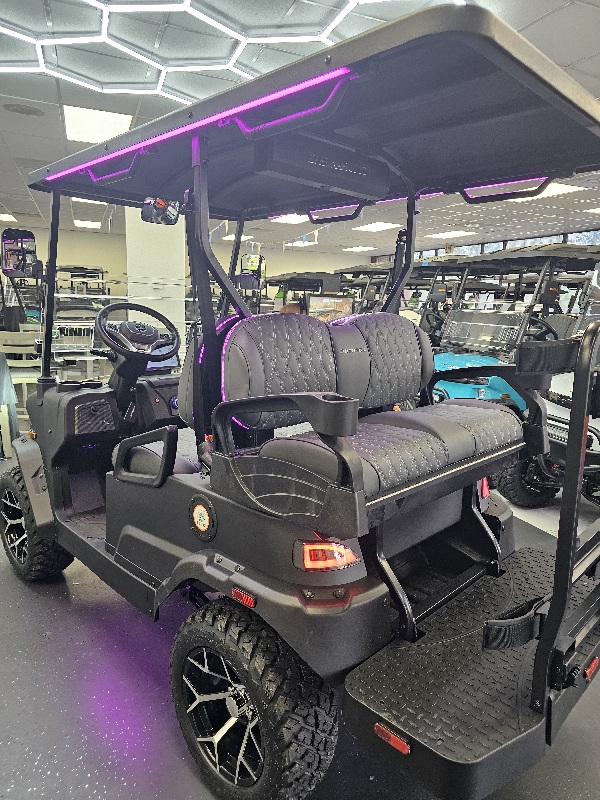 2026 Denago EV Nomad XL - Matte Black - Image 2